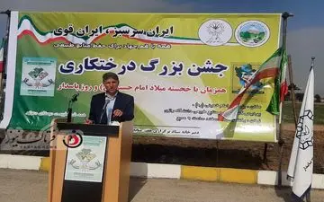 بهبود کیفیت آب در گروه درختکاری و اتلاف آن نیز در گرو عدم پوشش درخت است