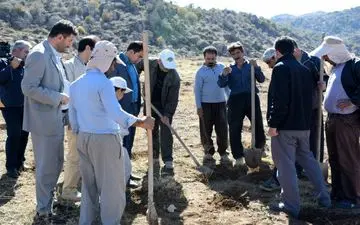 آغاز پروژه کپه کاری مراتع و کشت گیاهان دارویی و خوراک توت شامی پلاک سیاهانه دالاهو   