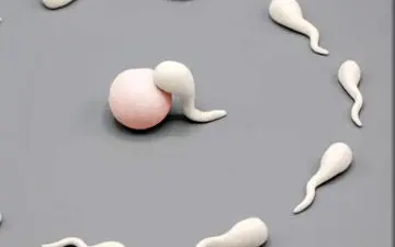 کیفیت اسپرم روی سقط جنین تاثیر دارد؟

