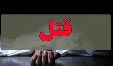 مقتول مزاحم زن عمویم شده بود