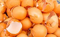 آیا می دانید پوسته تخم مرغ چه میزان کلسیم دارد؟