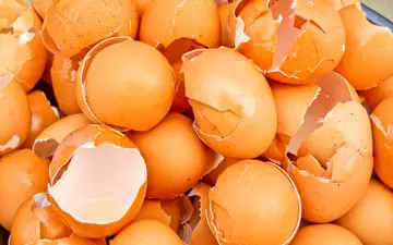 آیا می دانید پوسته تخم مرغ چه میزان کلسیم دارد؟