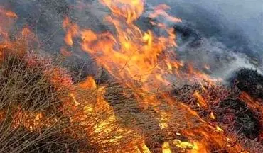 عوامل آتش سوزی در جنگل های دره شهر شناسایی شدند