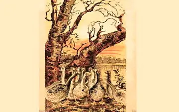 روباه در تصویر پنهان شده است / 12 ثانیه فرصت داری پیداش کنی!