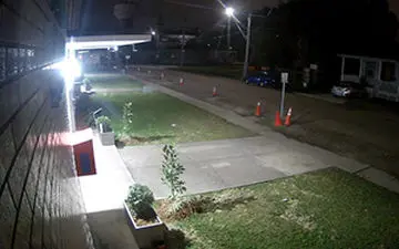 دزدیدن درخت یک متری از مقابل درب منزل