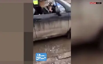 زنی که با تبر به جان ماشینش افتاد!+فیلم