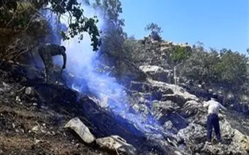 آتش به جان جنگل های رامسر افتاد