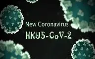 کرونا ویروس HKU5-CoV2؛ یک قدم تا اپیدمی جدید؟ نقش خفاش‌ها چیست؟