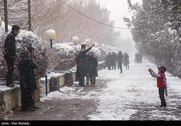 بارش برف در تفت یزد + تصاویر