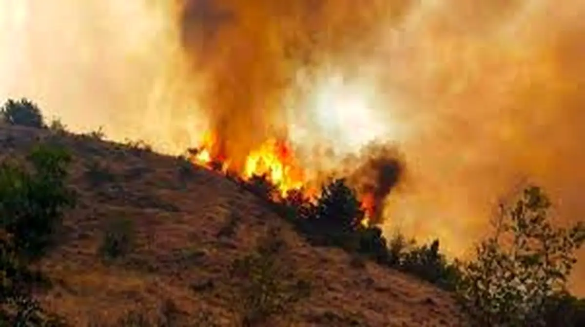 آتش سوزی جنگل های ارسباران عمدی بود؟