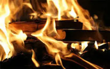  واکنش ها به آتش زدن کتاب پزشکی هاریسون