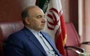 سلطانی‌فر: با چند مربی خوب برای هدایت تیم ملی مذاکره شده است