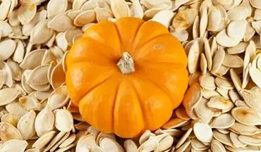 گنج کوچک سلامتی/ فایده‌ های شگفت‌انگیز این نوع تخمه که از آن بی خبرید