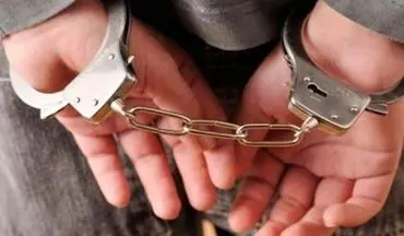 کشف 100 مورد سرقت و دستگیری 36 سارق در کرمانشاه