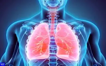 
۵ راهکار موثر برای پاکسازی ریه‌ها در آلودگی هوا