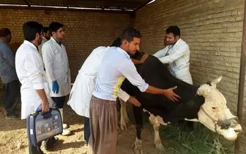 اعزام فارغ التحصیلان دامپزشکی به خارج در دستور کار قرار گرفت