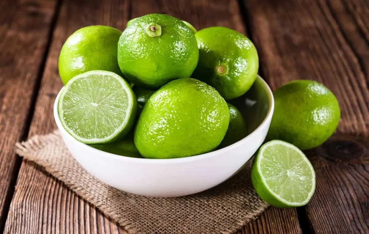   خواص و مضرات لیمو ترش برای کلیه؛ ۲۳ نکته ضروری قبل از مصرف 