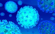  شناسایی ۱۱۸ مورد جدید مبتلا به کرونا ویروس دراستان ایلام/ ۳ مورد فوتی