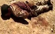 تلنبار اجساد داعشی‌ها در موصل + فیلم(18+)