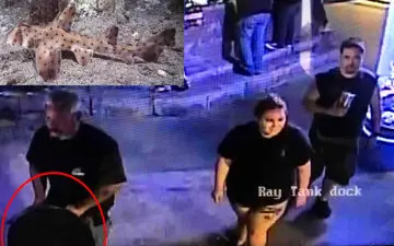 دزدیدن کوسه با استفاده از کالسکه بچه!+فیلم