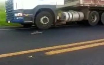 حمله مار به لاستیک تریلی‌ها در جاده!