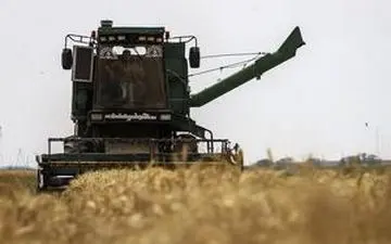 هفت هزار و ۵۰۰ میلیارد تومان به حساب کشاورزان گندم‌کار واریز شد
