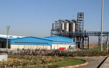 پتروشیمی چند نفر را سر کار می‌گذارد؟!