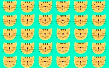 پیدا کردن گربه متفاوت ضریب هوشی بالایی میخواد / هوش خودت رو محک بزن!