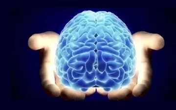 این عادات سلامت مغز را به خطر می اندازند