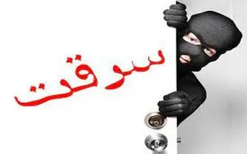 سرقت از خانه شوهر با همد‌‌‌ستی پسرخاله
