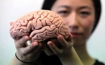 اگر می خواهید همیشه مغزتان جوان بماند دور این ماده را خط قرمز بکشید