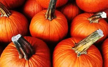 هر آن چه که باید از خواص کدو تنبل بدانید