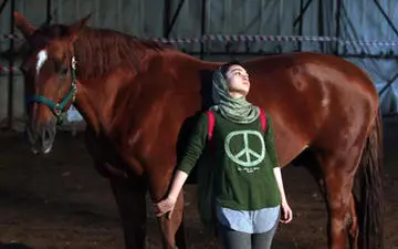 «درساژ» در راه جشنواره های اروپایی