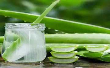 درمان بواسیر با گیاهان دارویی