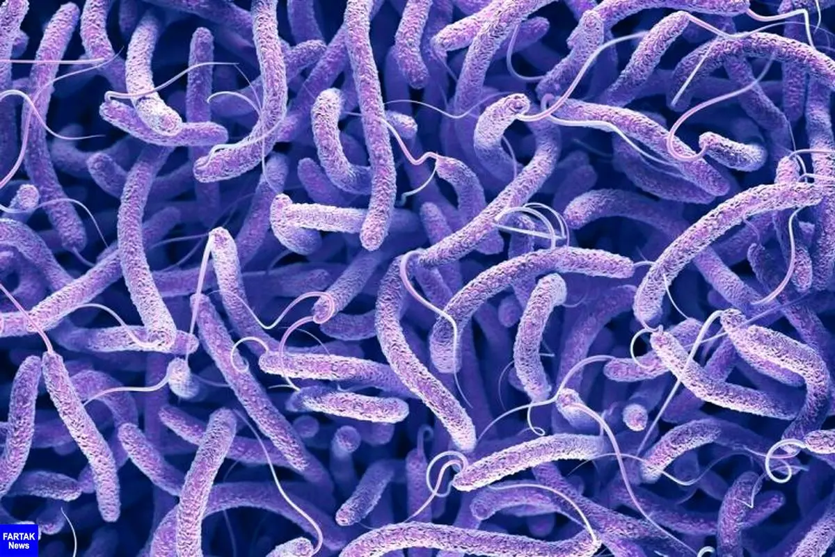 ۳۷ نفر در کشور به بیماری وبا مبتلا شده اند