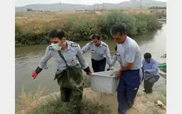 کشف جسد مردی در سد داریان