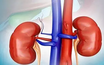 درد ناگهانی شدید در کلیه را جدی بگیرید