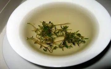 رفع ناراحتی های کبدی با گیاهان