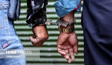 ۳۰ اخلال‌گر ارزی در البرز دستگیر شدند