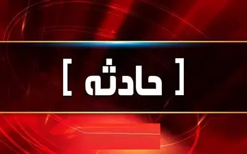 واژگونی مینی‌بوس در فارس ۱۶ مصدوم داشت