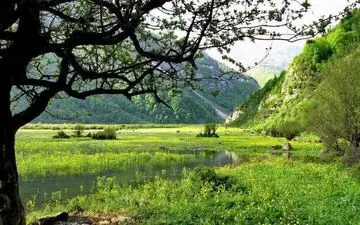 دشت دریاسر تنکابن بر فراز دوهزار