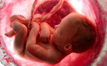 برگزاری سومین کنگره بین‌المللی تولید مثل در تهران