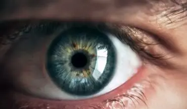 خطر مرگ از روی چشم‌ها قابل پیش بینی است