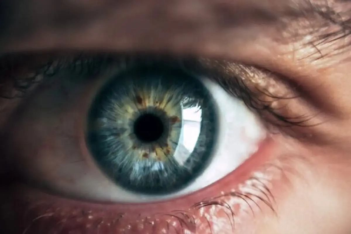 خطر مرگ از روی چشم‌ها قابل پیش بینی است
