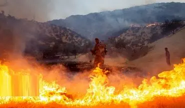 وزش باد آتش مراتع کوهستانی دشتی بوشهر را شعله‌ورتر کرد