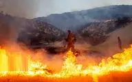 وزش باد آتش مراتع کوهستانی دشتی بوشهر را شعله‌ورتر کرد