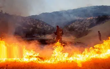 وزش باد آتش مراتع کوهستانی دشتی بوشهر را شعله‌ورتر کرد