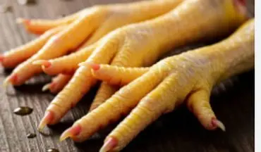 در مورد پای مرغ این  نکات را بدانید!