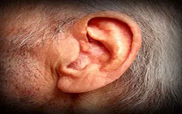 استفاده از تکنولوژی جدید برای مقابله با کم شنوایی