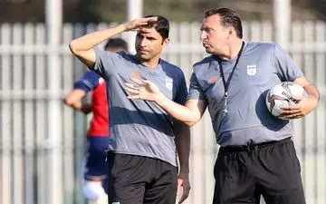 هاشمیان،مرد قابل اعتماد مارک ویلموتس